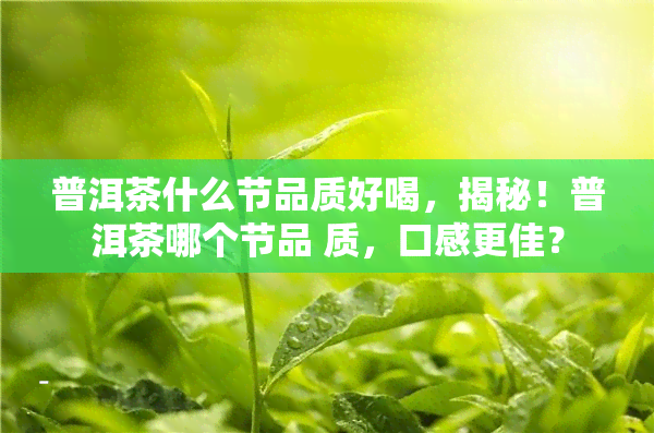 普洱茶什么节品质好喝，揭秘！普洱茶哪个节品 质，口感更佳？