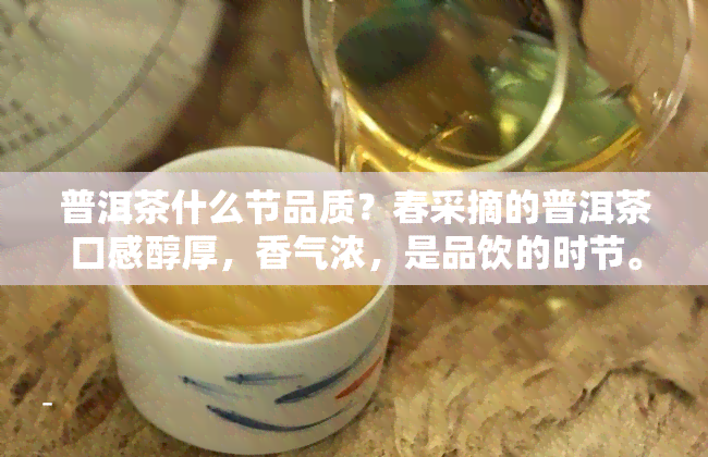 普洱茶什么节品质？春采摘的普洱茶口感醇厚，香气浓，是品饮的时节。