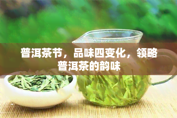 普洱茶节，品味四变化，领略普洱茶的韵味