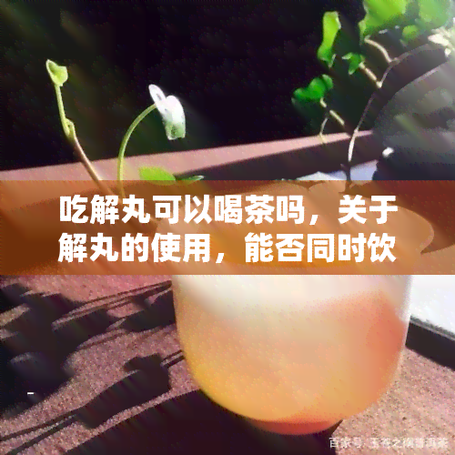 吃解丸可以喝茶吗，关于解丸的使用，能否同时饮用茶？