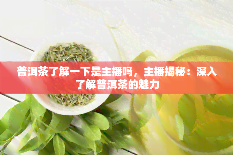 普洱茶了解一下是主播吗，主播揭秘：深入了解普洱茶的魅力