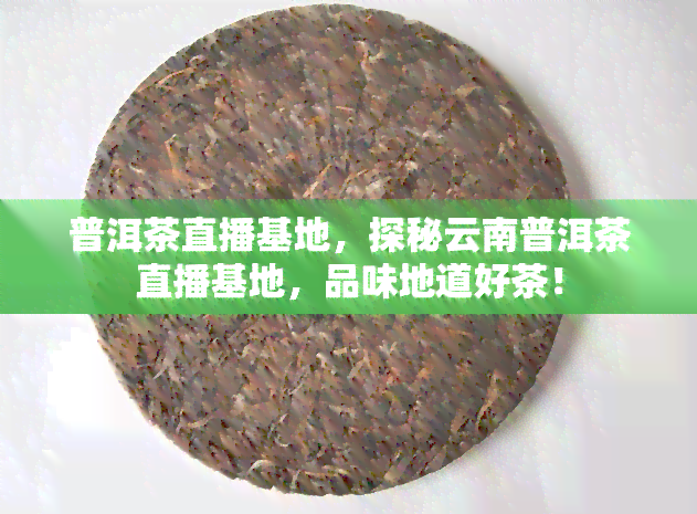 普洱茶直播基地，探秘云南普洱茶直播基地，品味地道好茶！