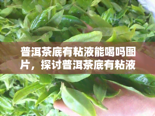 普洱茶底有粘液能喝吗图片，探讨普洱茶底有粘液是否能饮用：附图片解析