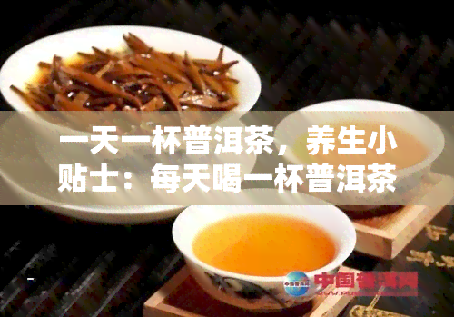 一天一杯普洱茶，养生小贴士：每天喝一杯普洱茶，健从早开始！