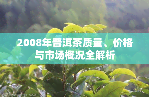 2008年普洱茶质量、价格与市场概况全解析