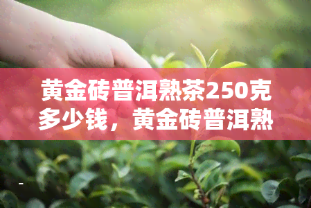 黄金砖普洱熟茶250克多少钱，黄金砖普洱熟茶250克售价是多少？