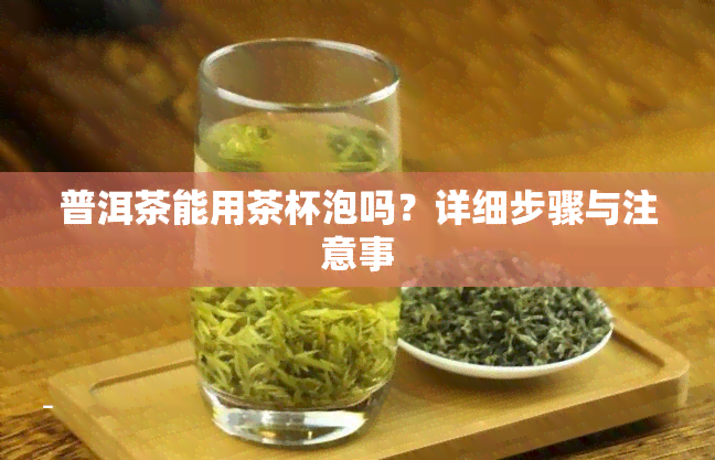 普洱茶能用茶杯泡吗？详细步骤与注意事