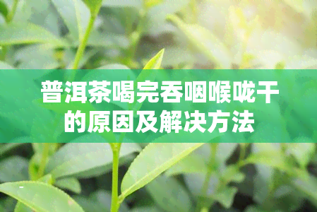 普洱茶喝完吞咽喉咙干的原因及解决方法