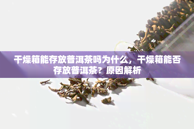 干燥箱能存放普洱茶吗为什么，干燥箱能否存放普洱茶？原因解析