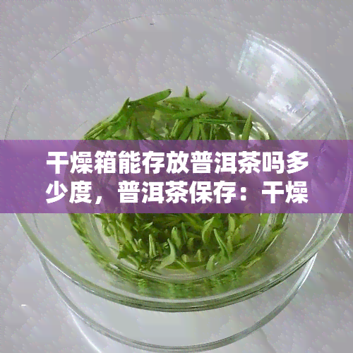 干燥箱能存放普洱茶吗多少度，普洱茶保存：干燥箱内度应控制在多少度？