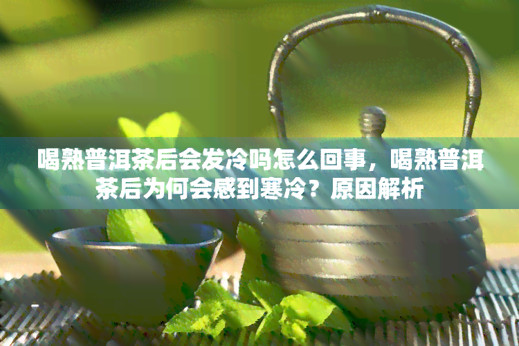 喝熟普洱茶后会发冷吗怎么回事，喝熟普洱茶后为何会感到寒冷？原因解析