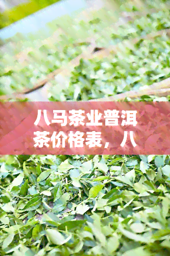 八马茶业普洱茶价格表，八马茶业普洱茶价格一览表，一网打尽各类茶叶价格信息！