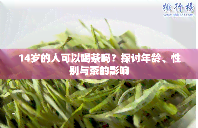 14岁的人可以喝茶吗？探讨年龄、性别与茶的影响