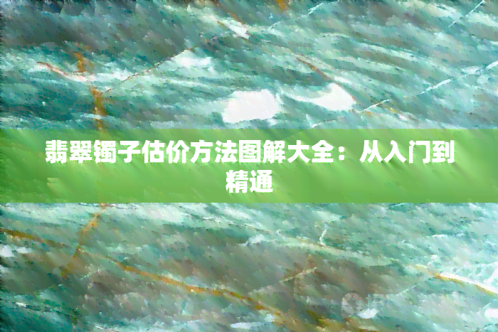 翡翠镯子估价方法图解大全：从入门到精通