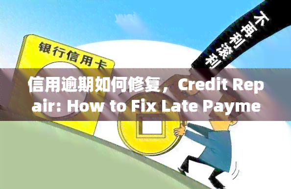 信用逾期如何修复，Credit Repair: How to Fix Late Payments and Rebuild Your Credit Score