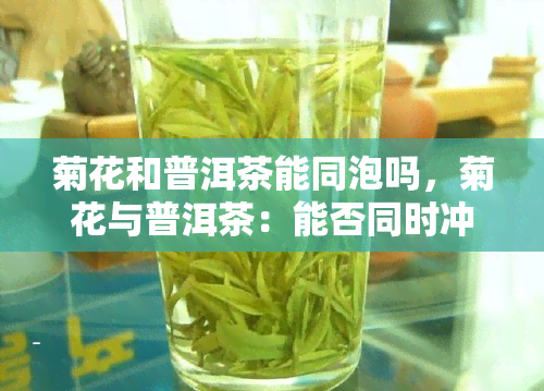 菊花和普洱茶能同泡吗，菊花与普洱茶：能否同时冲泡？