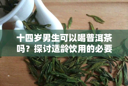 十四岁男生可以喝普洱茶吗？探讨适龄饮用的必要性和注意事