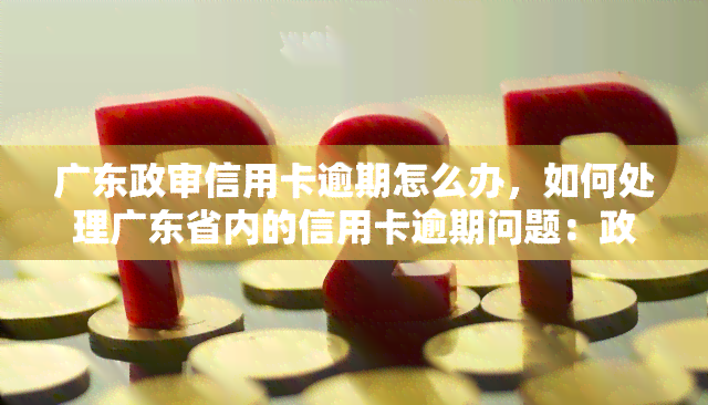 广东政审信用卡逾期怎么办，如何处理广东省内的信用卡逾期问题：政治审查的影响与应对策略