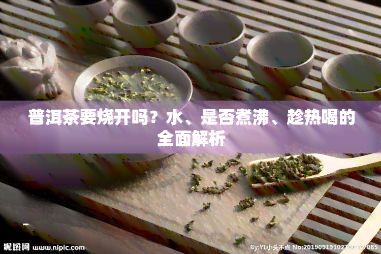 普洱茶要烧开吗？水、是否煮沸、趁热喝的全面解析