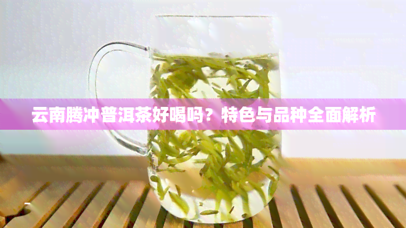 云南腾冲普洱茶好喝吗？特色与品种全面解析