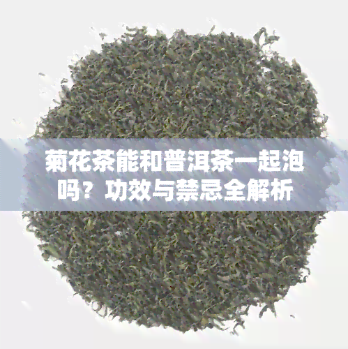 菊花茶能和普洱茶一起泡吗？功效与禁忌全解析