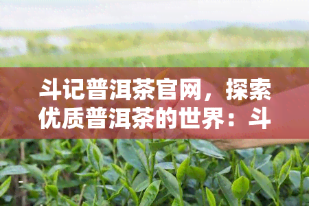 斗记普洱茶官网，探索优质普洱茶的世界：斗记普洱茶官网