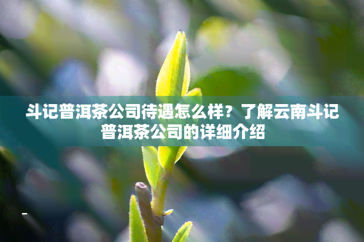 斗记普洱茶公司待遇怎么样？了解云南斗记普洱茶公司的详细介绍