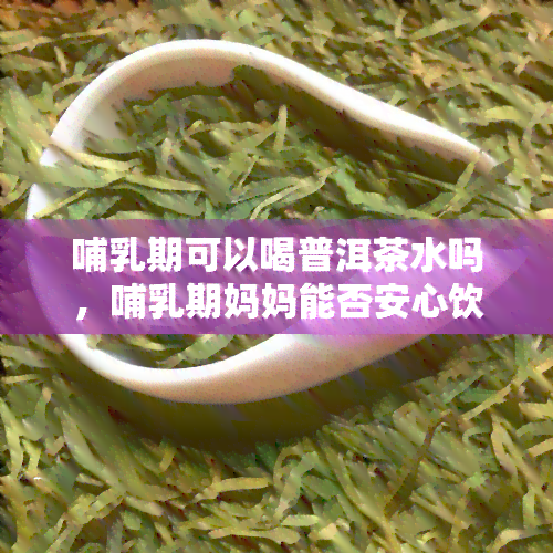 哺乳期可以喝普洱茶水吗，哺乳期妈妈能否安心饮用普洱茶？