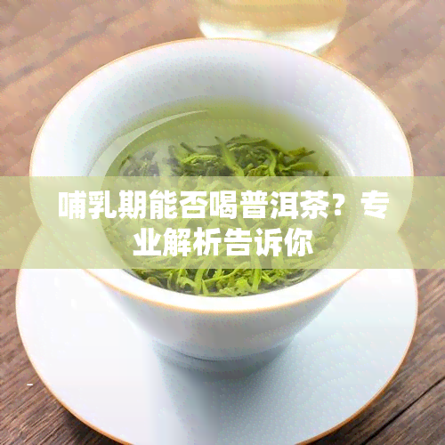 哺乳期能否喝普洱茶？专业解析告诉你