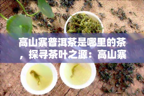 高山寨普洱茶是哪里的茶，探寻茶叶之源：高山寨普洱茶的产地和特点