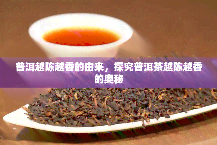 普洱越陈越香的由来，探究普洱茶越陈越香的奥秘