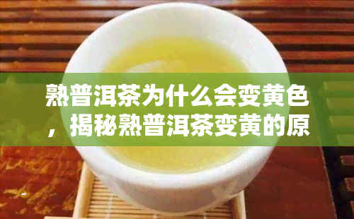 熟普洱茶为什么会变黄色，揭秘熟普洱茶变黄的原因