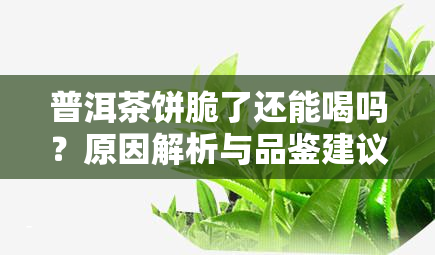 普洱茶饼脆了还能喝吗？原因解析与品鉴建议