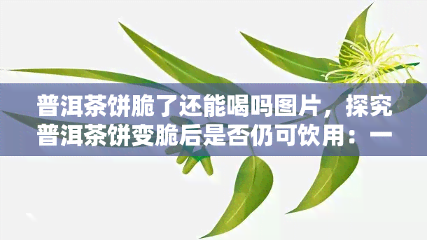 普洱茶饼脆了还能喝吗图片，探究普洱茶饼变脆后是否仍可饮用：一张图片揭示答案