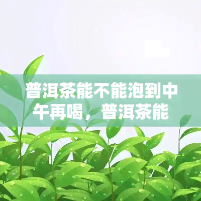 普洱茶能不能泡到中午再喝，普洱茶能泡到中午再喝吗？专家解析