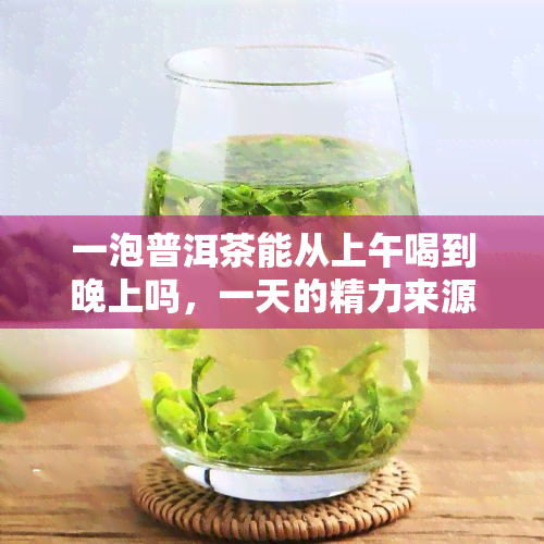 一泡普洱茶能从上午喝到晚上吗，一天的精力来源：一泡普洱茶能从上午喝到晚上吗？