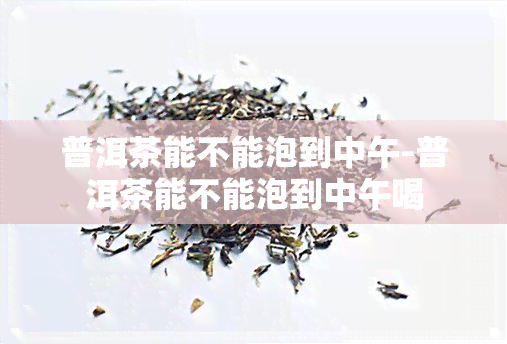 普洱茶能不能泡到中午-普洱茶能不能泡到中午喝