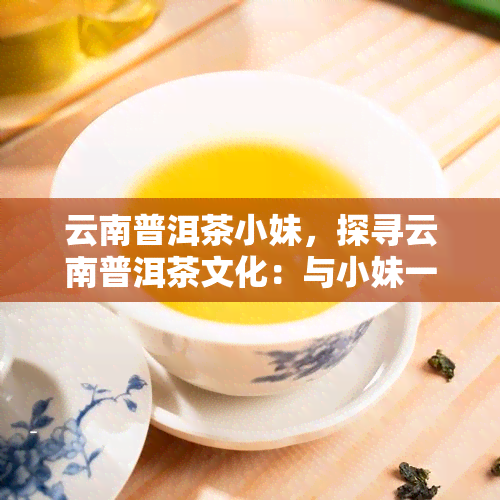 云南普洱茶小妹，探寻云南普洱茶文化：与小妹一同品味千年古韵