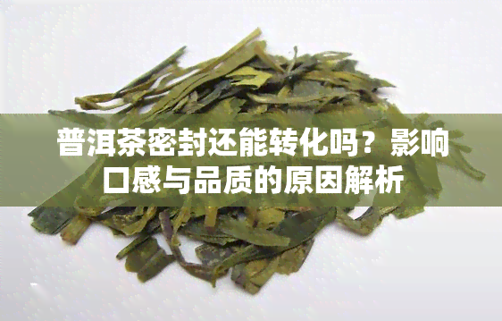 普洱茶密封还能转化吗？影响口感与品质的原因解析