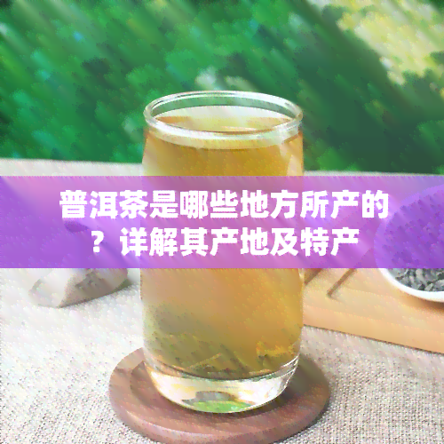 普洱茶是哪些地方所产的？详解其产地及特产