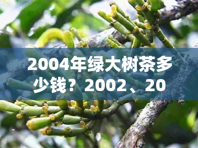 2004年绿大树茶多少钱？2002、2006、2001年价格及2002特级普洱茶现价，如何区分02、03年勐海茶厂绿大树？