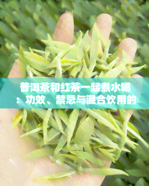 普洱茶和红茶一起煮水喝：功效、禁忌与混合饮用的探讨