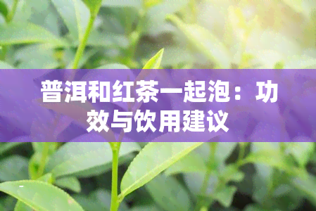 普洱和红茶一起泡：功效与饮用建议