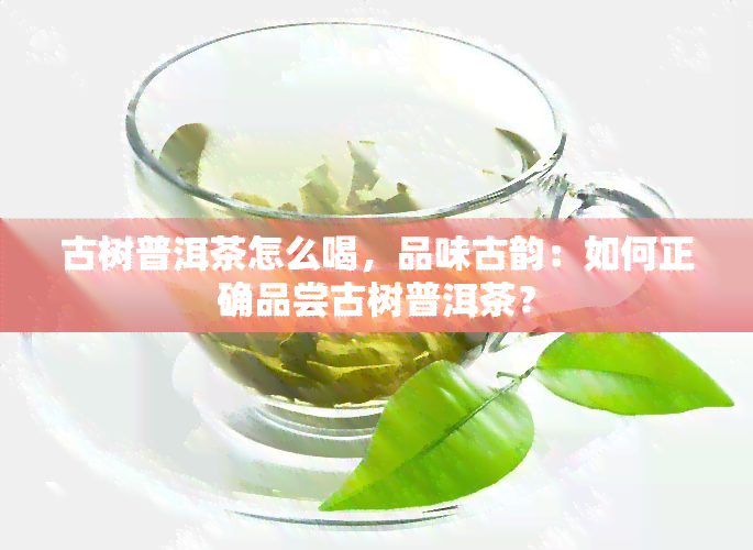 古树普洱茶怎么喝，品味古韵：如何正确品尝古树普洱茶？