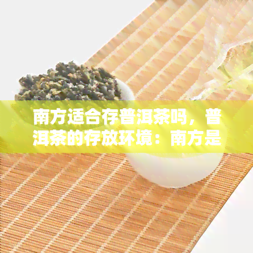 南方适合存普洱茶吗，普洱茶的存放环境：南方是否适合存？