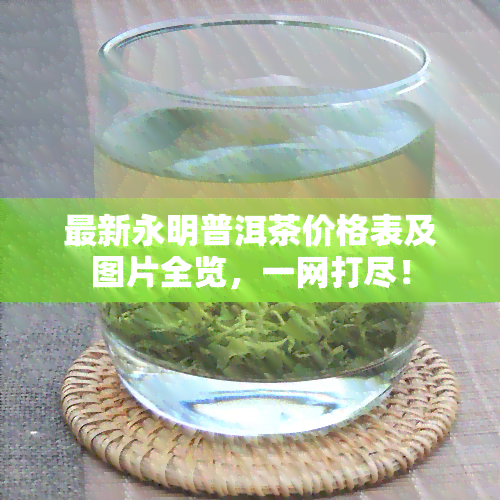 最新永明普洱茶价格表及图片全览，一网打尽！