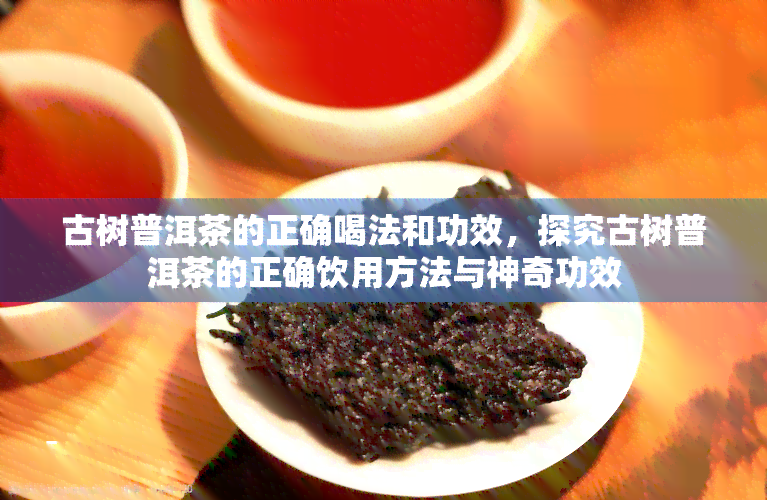 古树普洱茶的正确喝法和功效，探究古树普洱茶的正确饮用方法与神奇功效