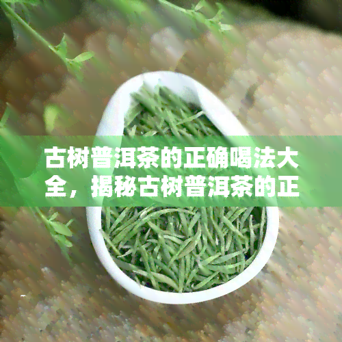 古树普洱茶的正确喝法大全，揭秘古树普洱茶的正确喝法大全！