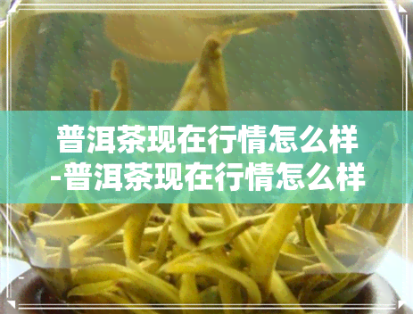 普洱茶现在行情怎么样-普洱茶现在行情怎么样了