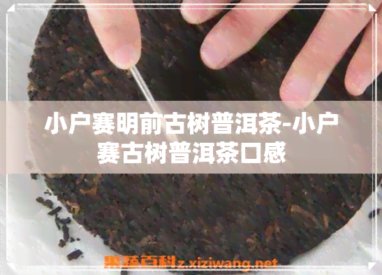 小户赛明前古树普洱茶-小户赛古树普洱茶口感